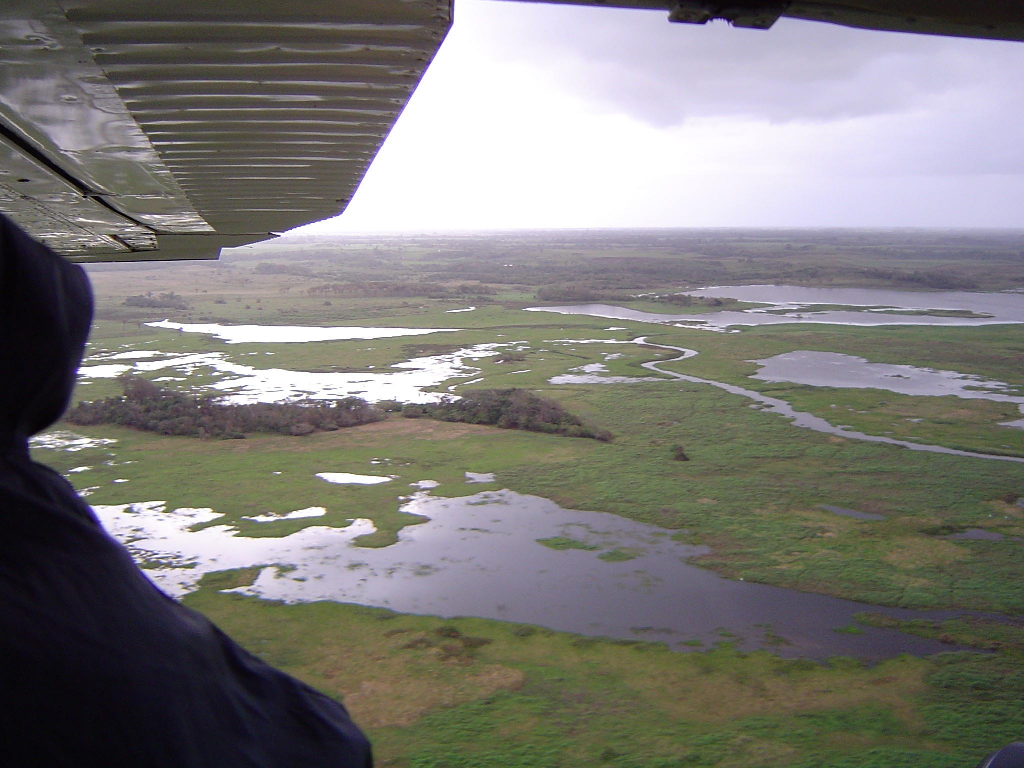 Vista aérea de islas de Selva Baja inundable en temporada de secas, indispensables para los ciclos reproductivos de diferentes especies de fauna silvestre